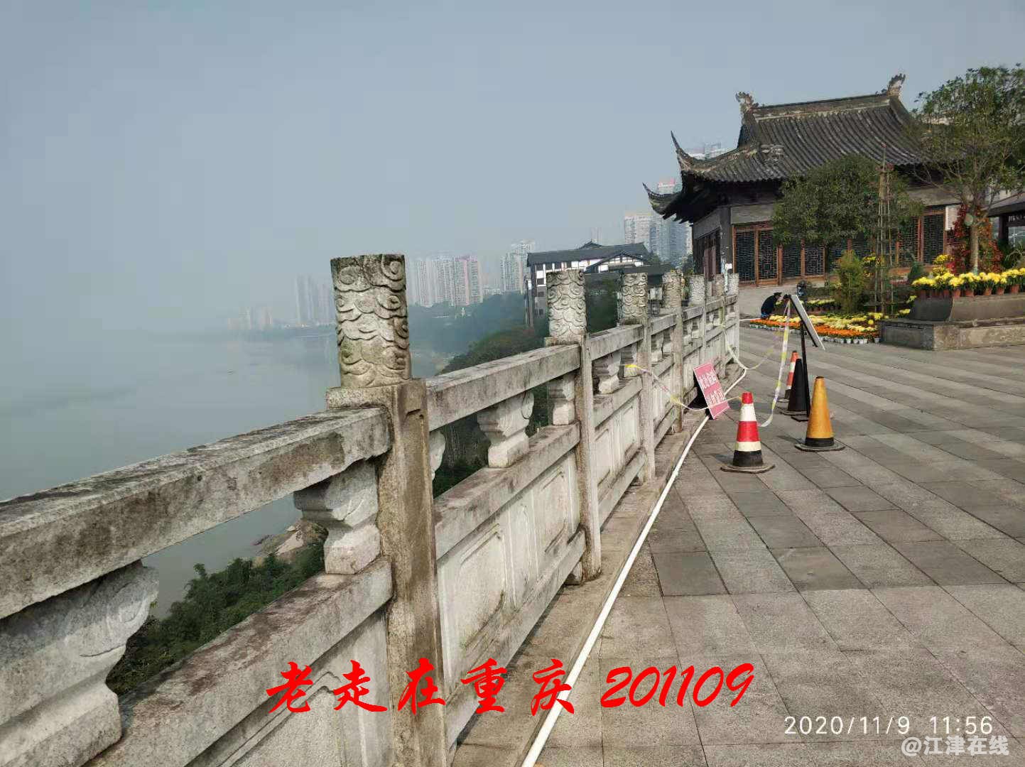 JYZ 20201109 WYB (104).jpg