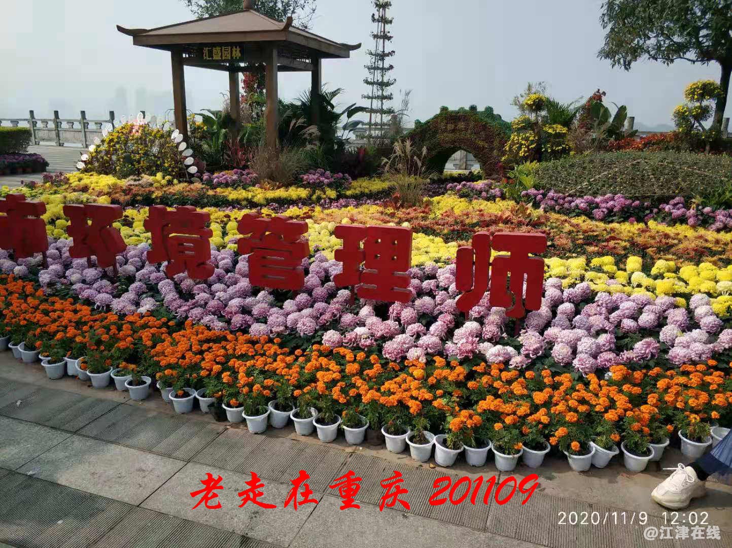 JYZ 20201109 WYB (120).jpg