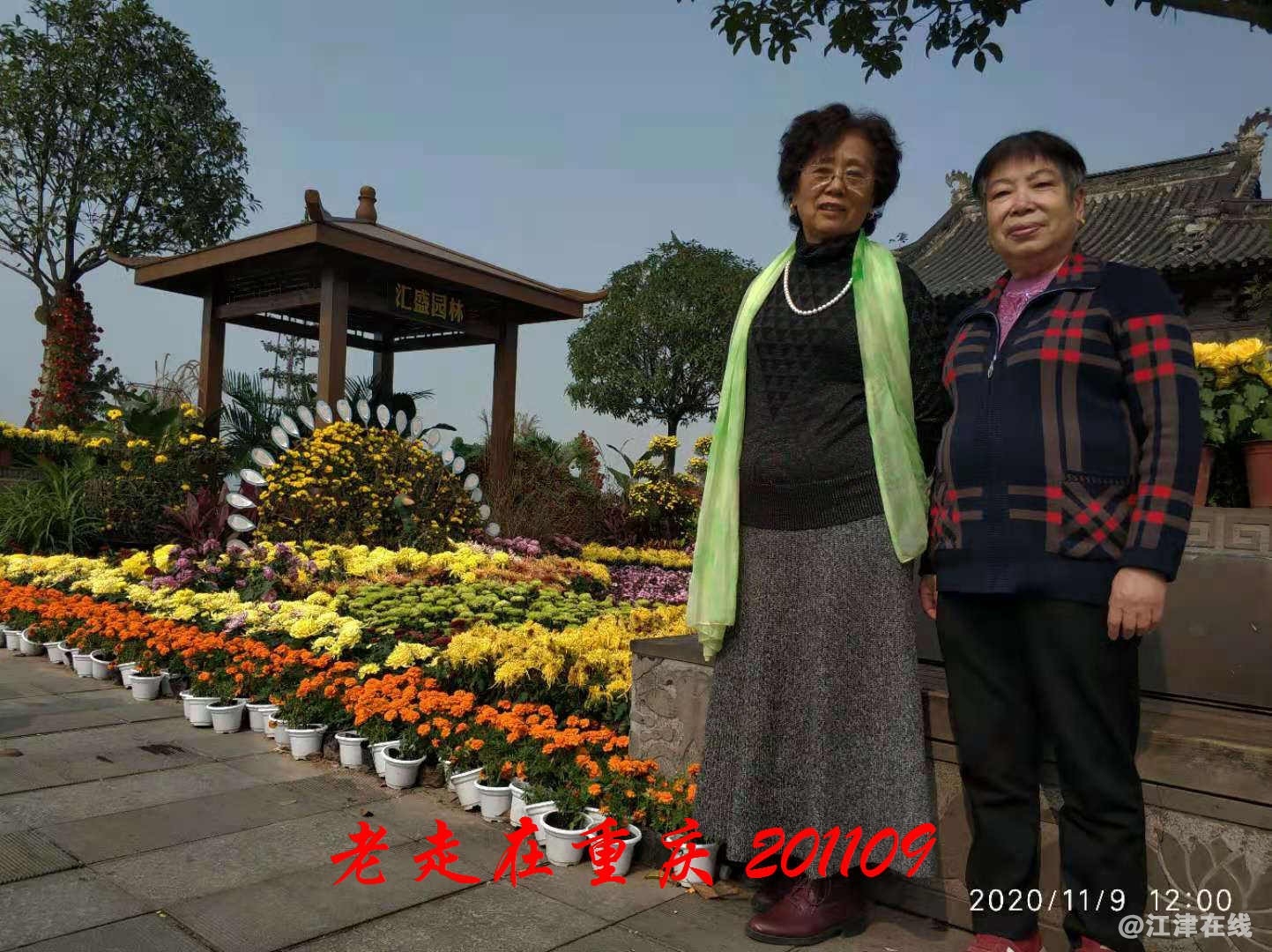 JYZ 20201109 WYB (124).jpg