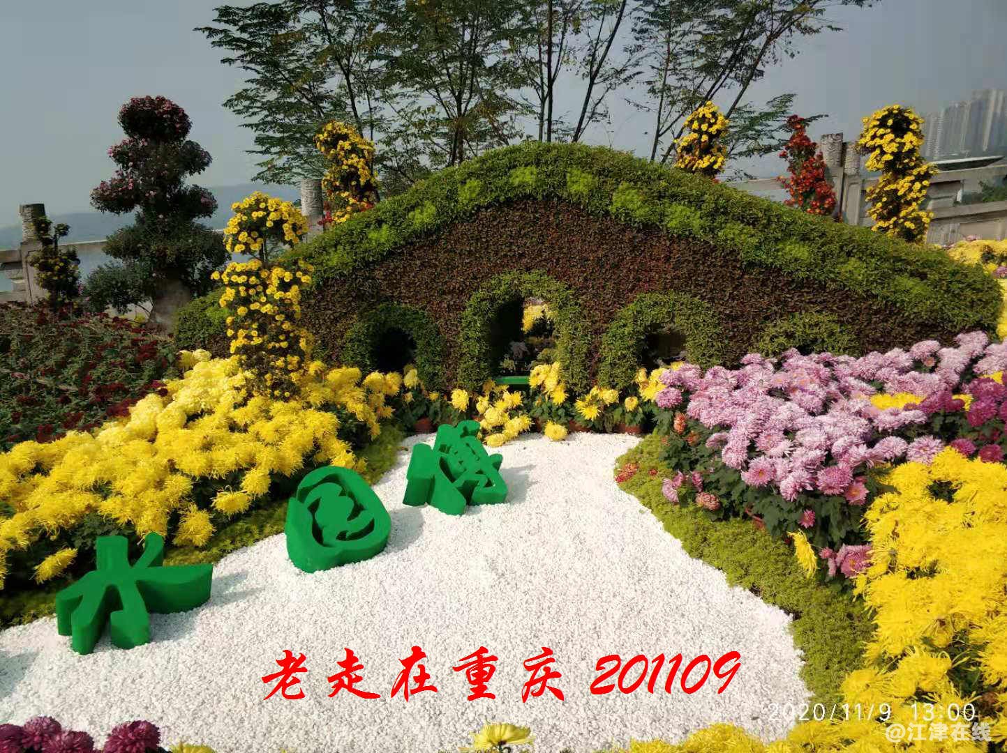 JYZ 20201109 WYB (169).jpg