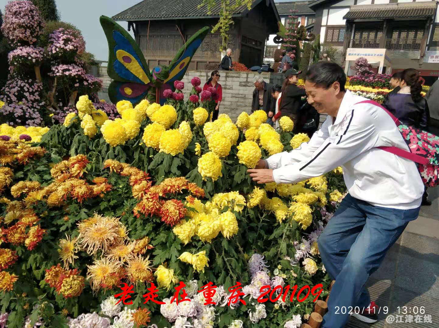 JYZ 20201109 WYB (207).jpg