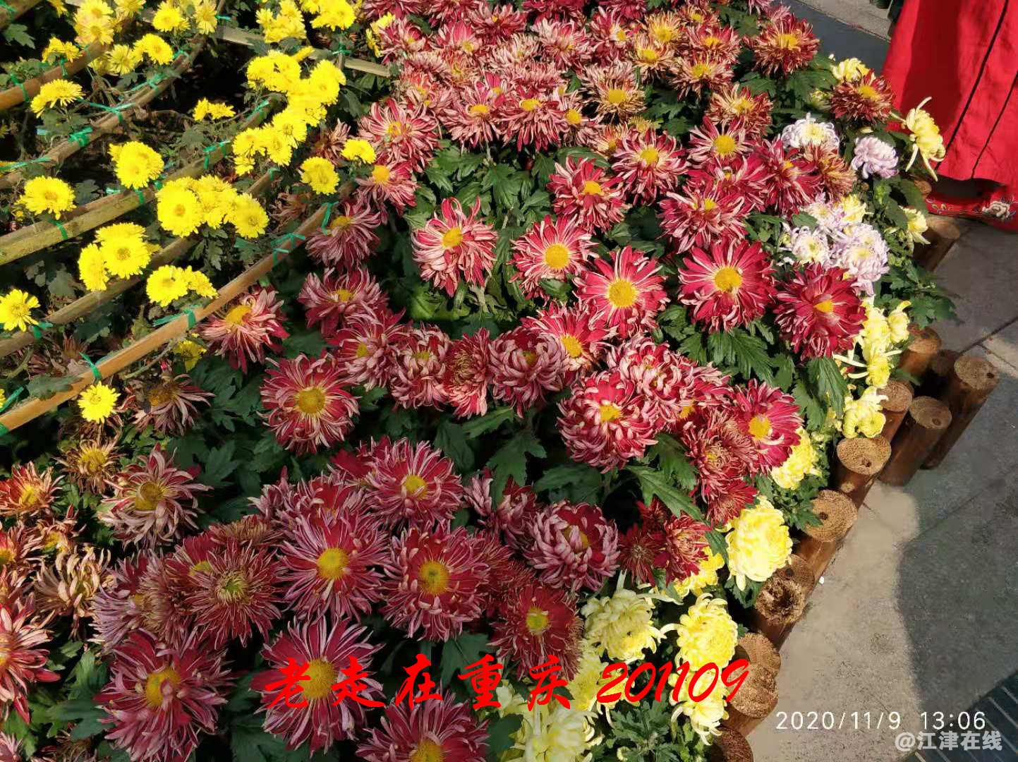 JYZ 20201109 WYB (221).jpg