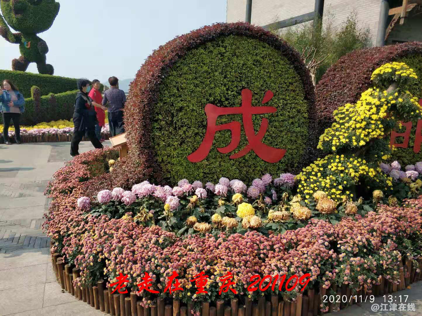 JYZ 20201109 WYB (272).jpg