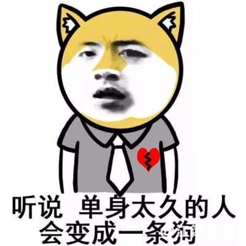 2485dabe24a8a944eb5d7a2314334680.jpg