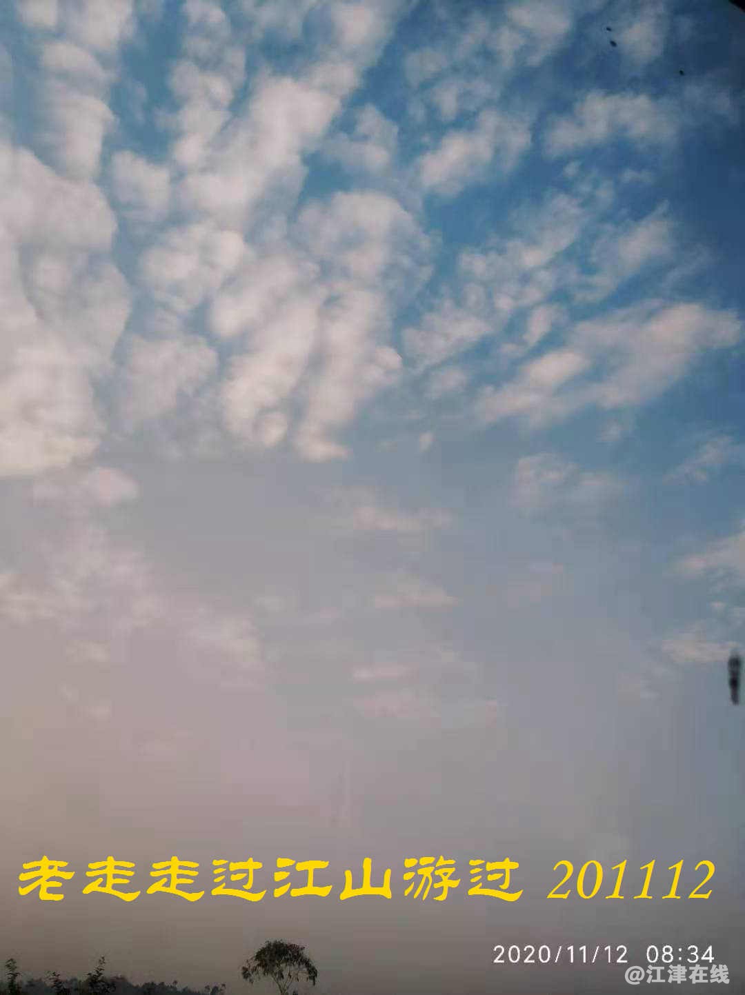 JYZ 20201112 WYB (12).jpg