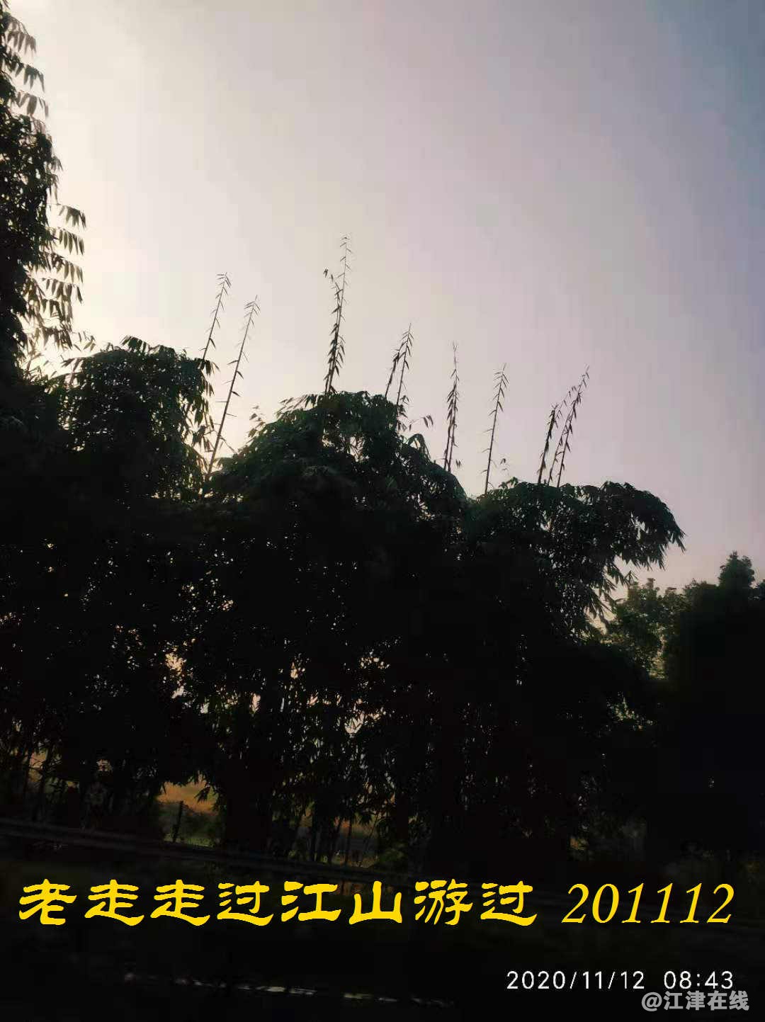JYZ 20201112 WYB (13).jpg