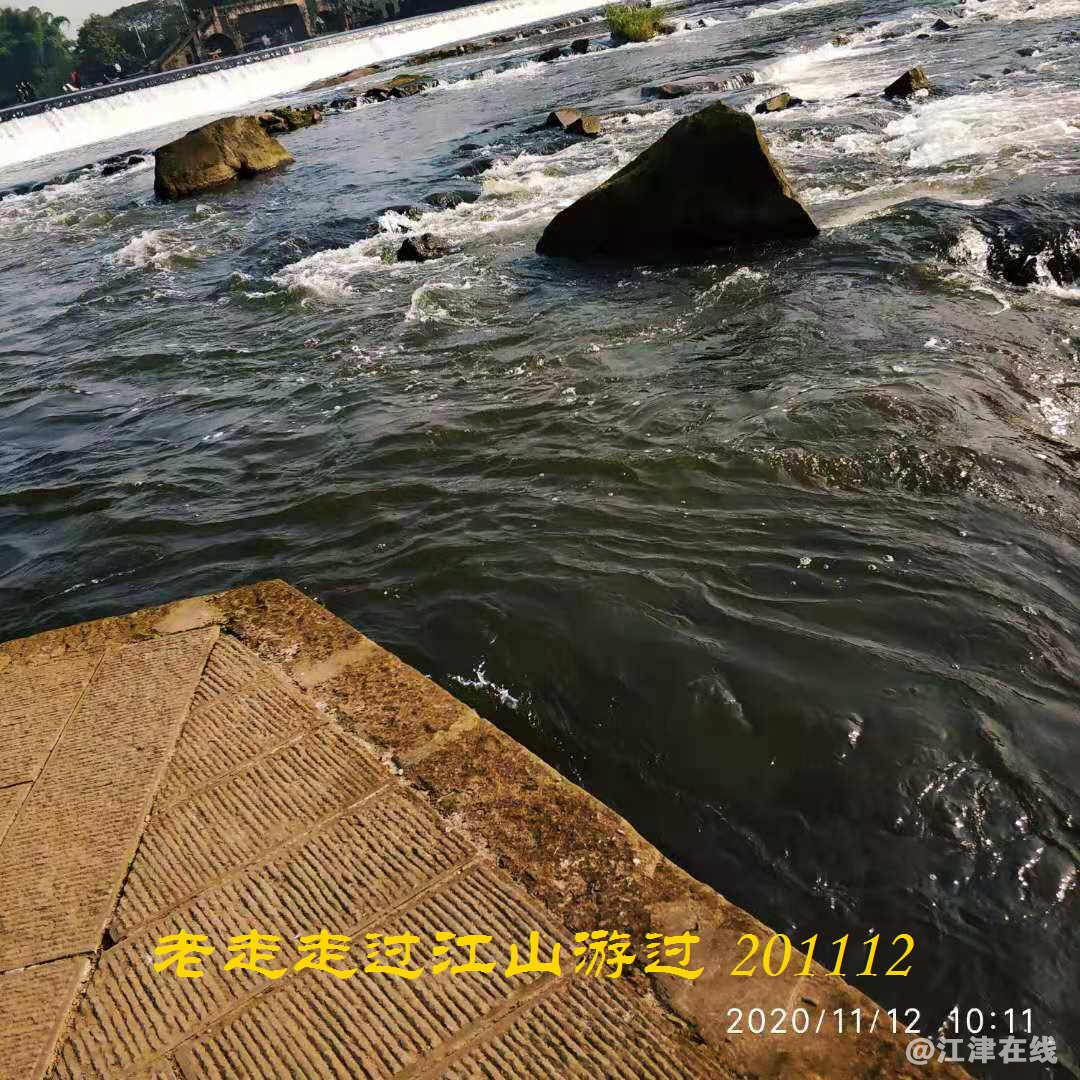 JYZ 20201112 WYB (135).jpg