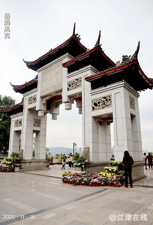 菊展 (15).jpg