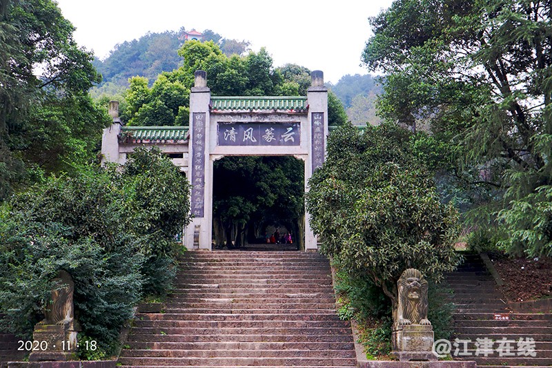 菊展 (17).jpg