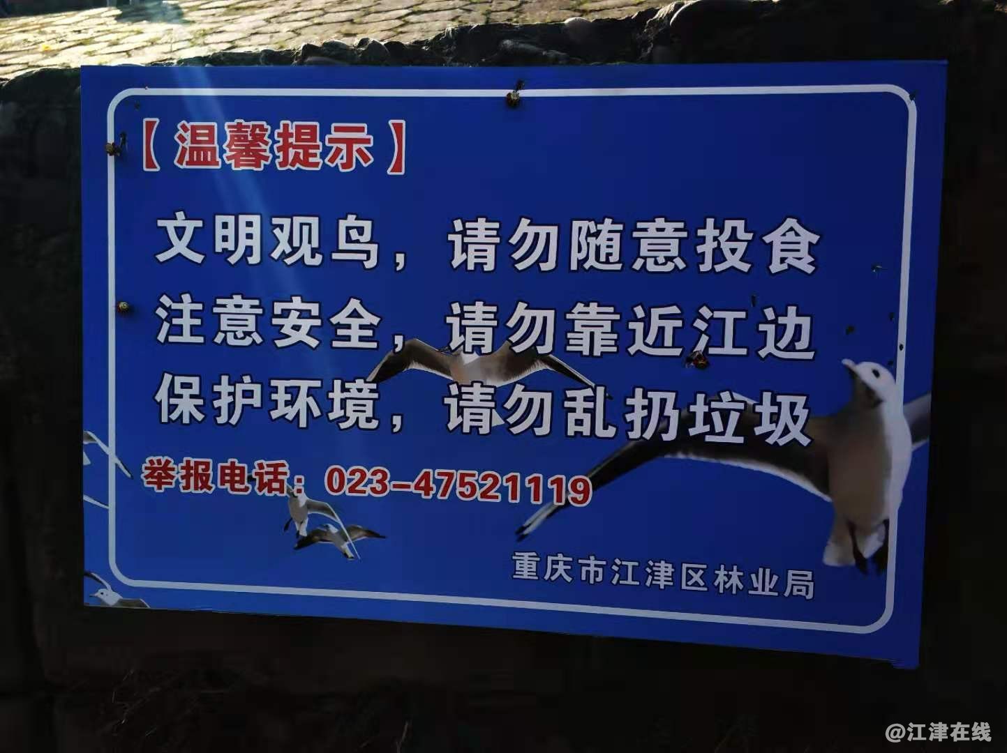 微信图片_20201120202416.jpg