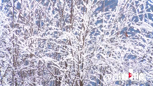 f0368eb11e05c6ced681cf279b20cacc.png