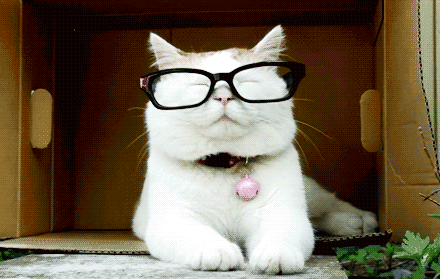 front2_0_Fv-orPDF7tiuGNlw95lzUXn2odwp.1606363128.gif