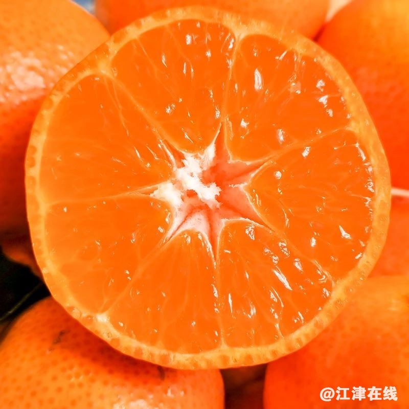fce6d8d53e957d0b2481c80d19439a48.jpg
