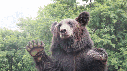 微信图片_20201130093202.gif