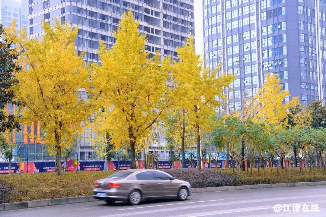 954f87205db7c97869d9c74c70e25807.jpg