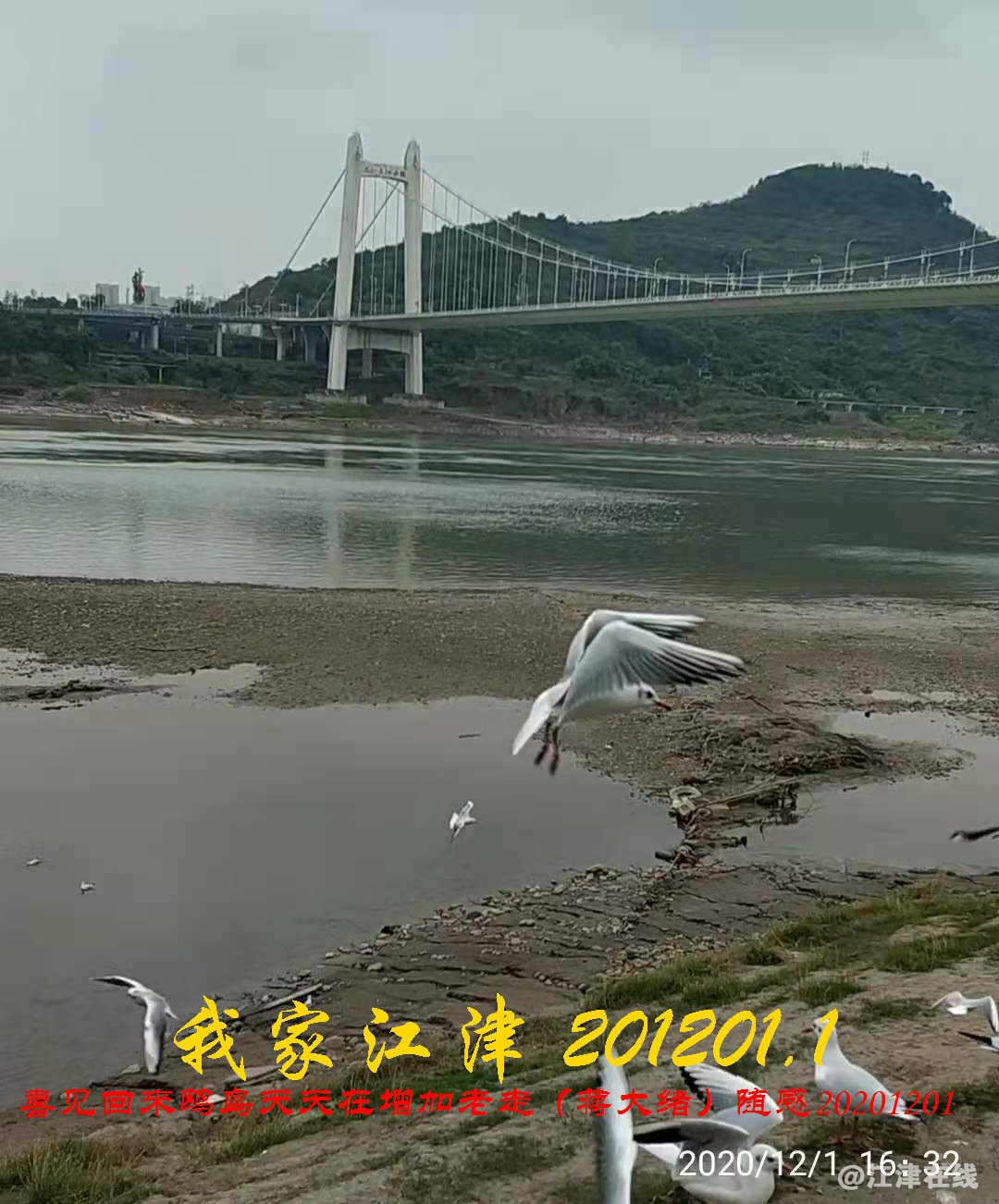 JYZ 20201201.1 WYB (1).jpg
