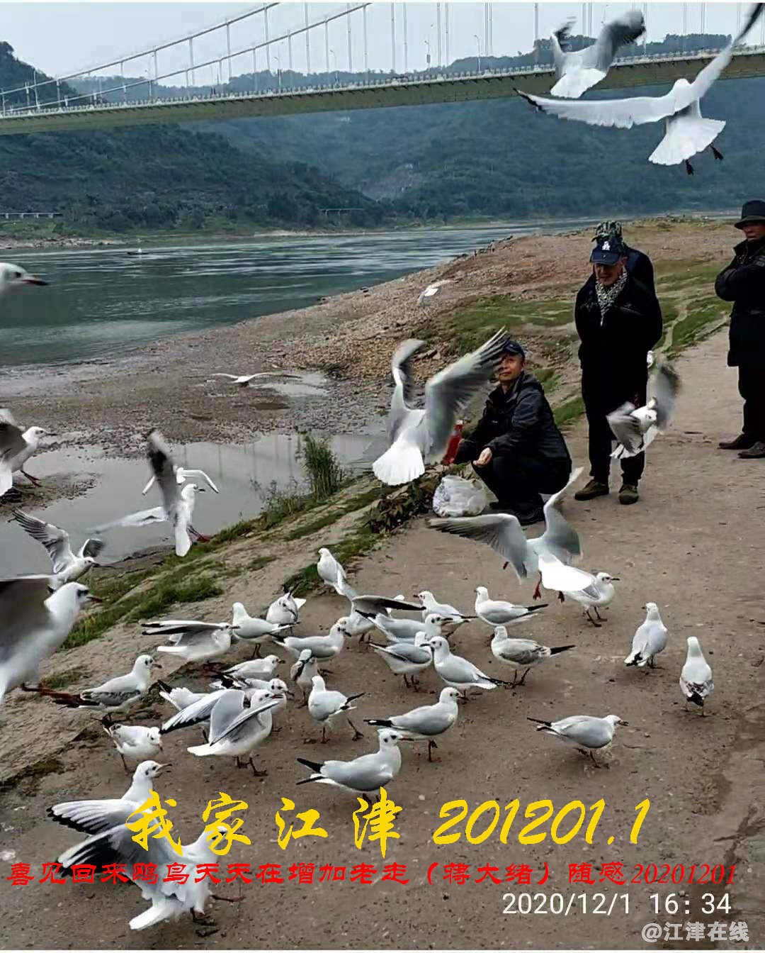 JYZ 20201201.1 WYB (11).jpg