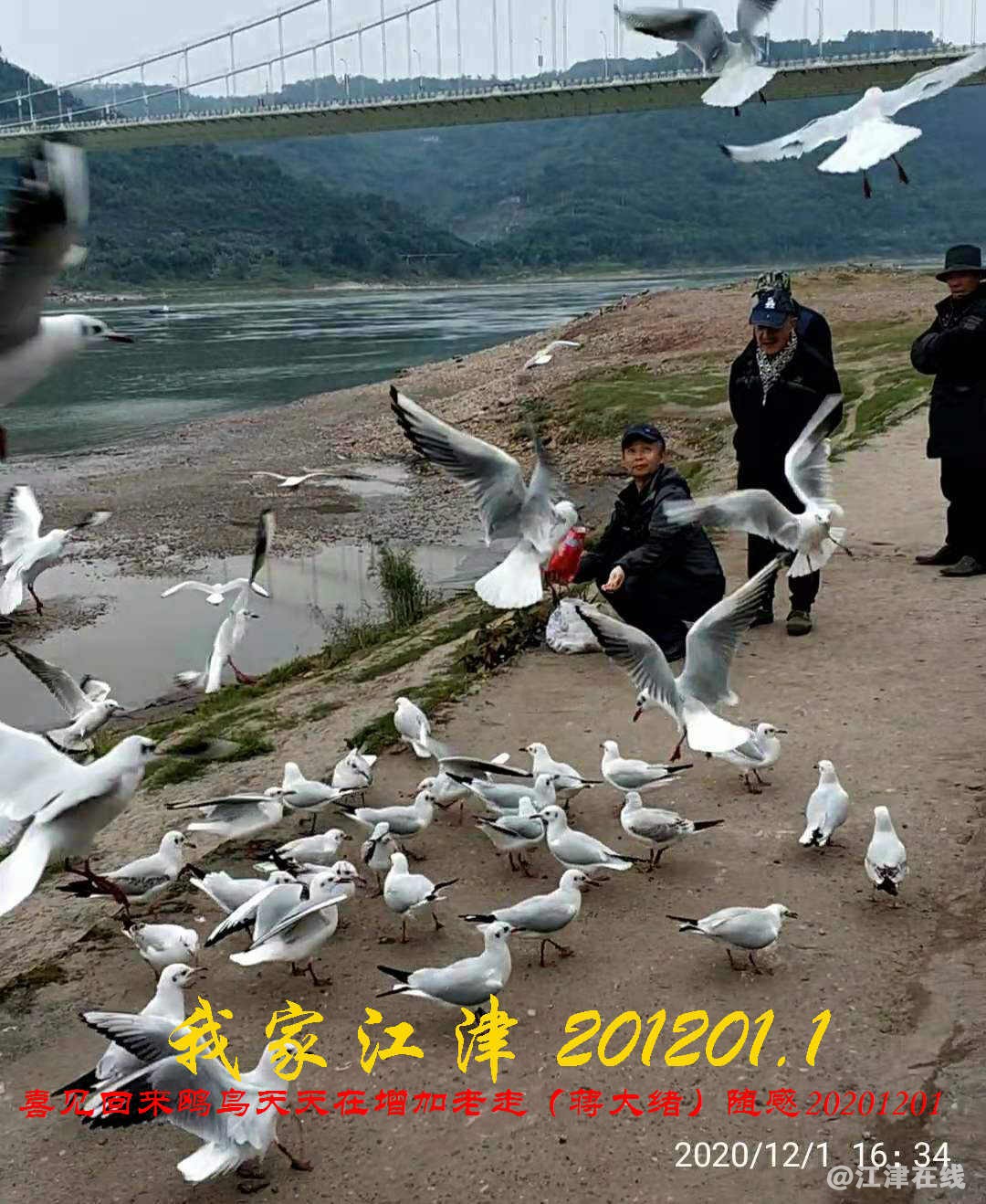 JYZ 20201201.1 WYB (12).jpg