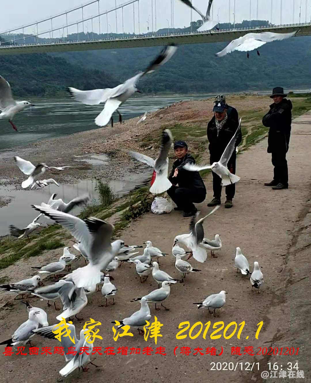 JYZ 20201201.1 WYB (16).jpg