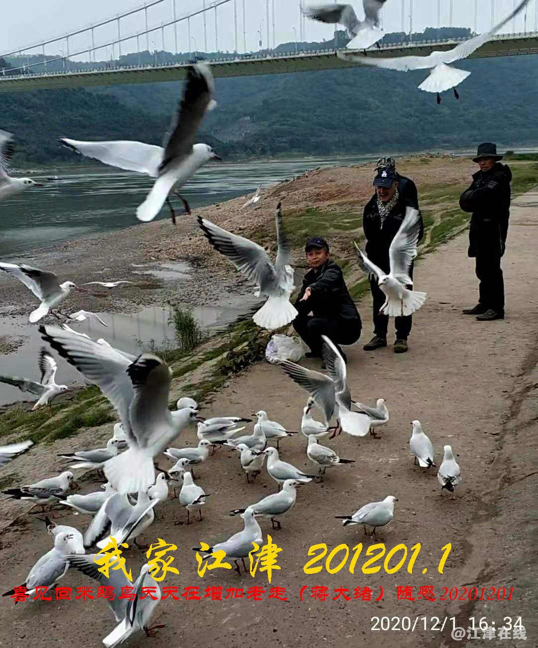 JYZ 20201201.1 WYB (18).jpg