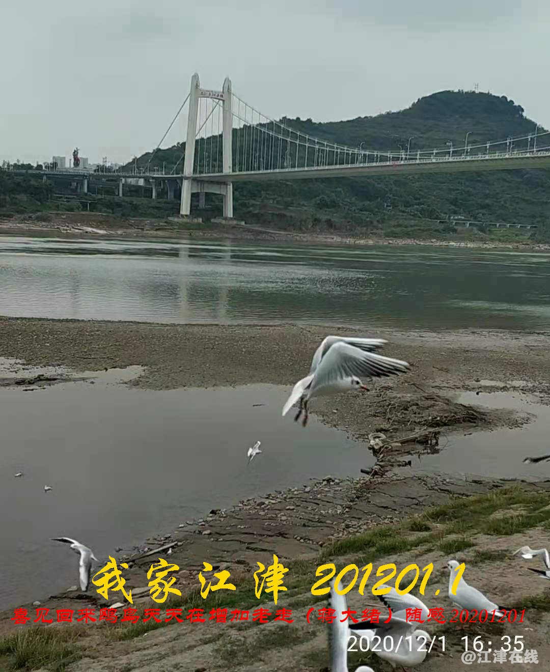 JYZ 20201201.1 WYB (23).jpg