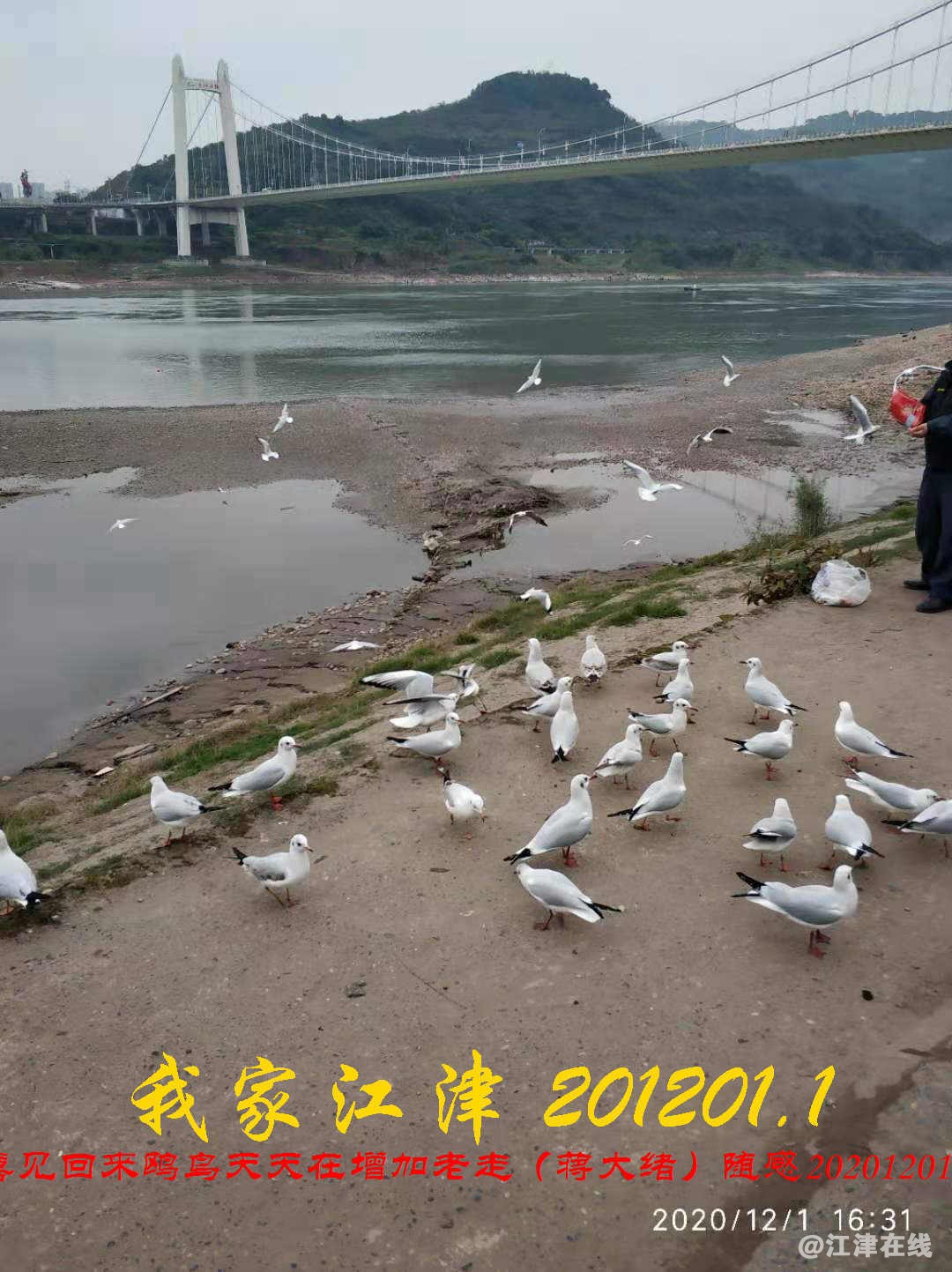 JYZ 20201201.1 WYB (29).jpg