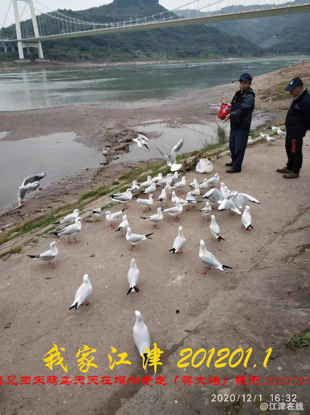 JYZ 20201201.1 WYB (33).jpg