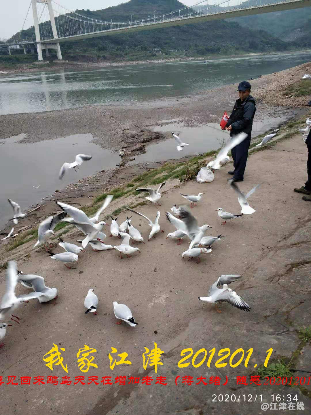 JYZ 20201201.1 WYB (34).jpg