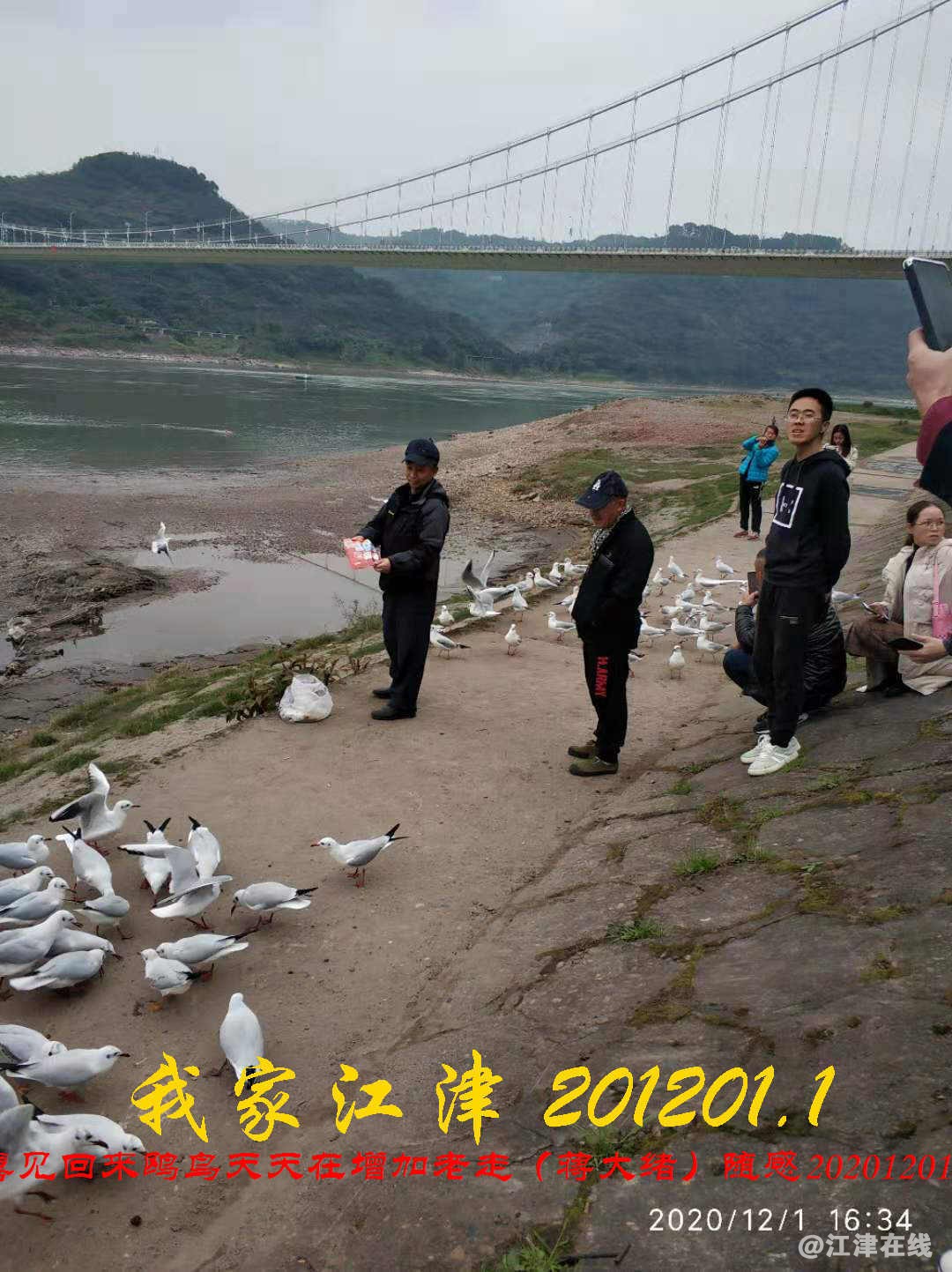 JYZ 20201201.1 WYB (38).jpg
