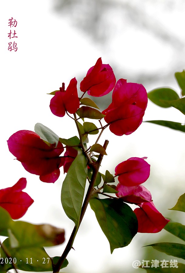 11·27 (12).jpg