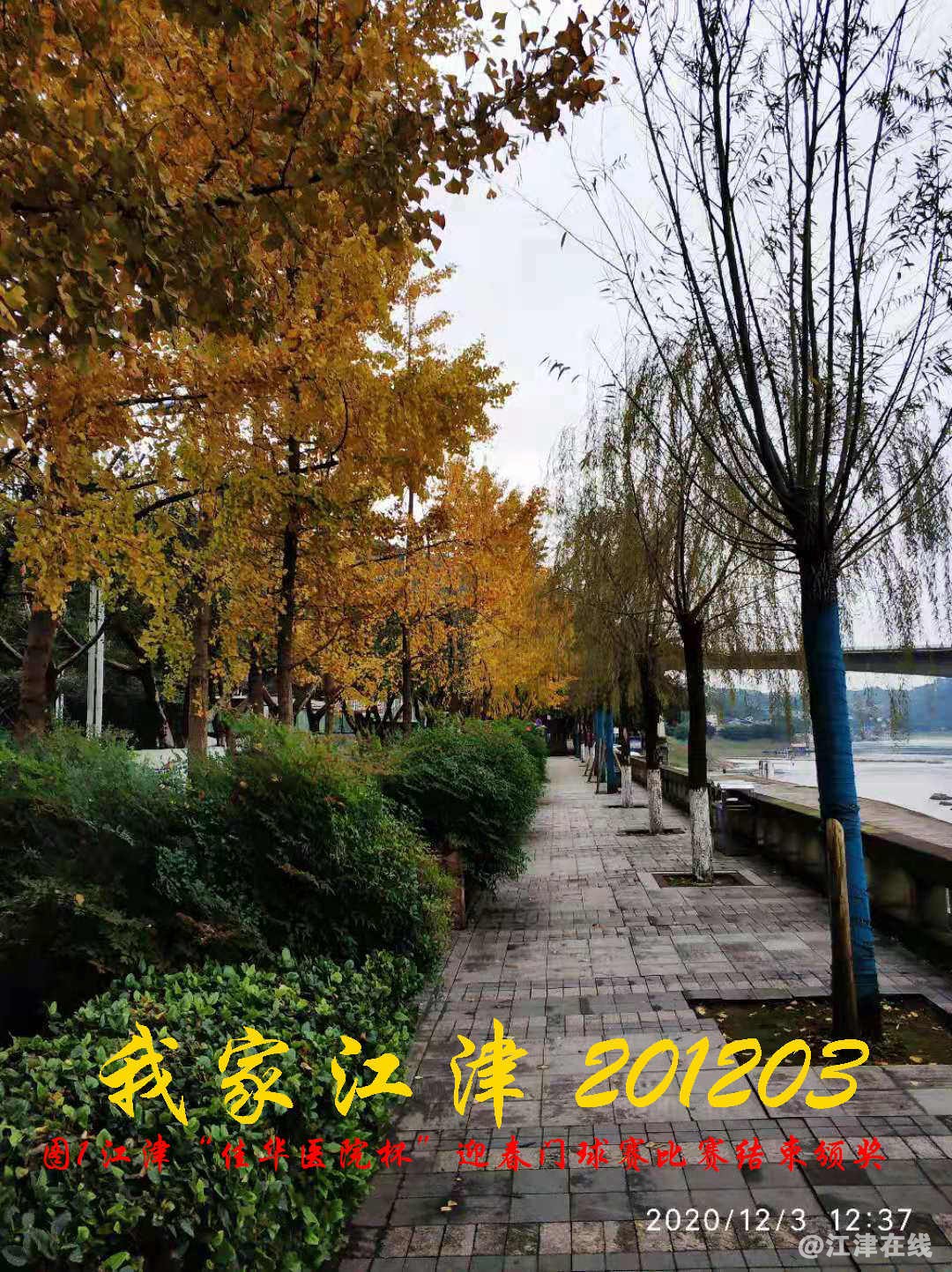 JYZ 20201203  WY1B (77).jpg
