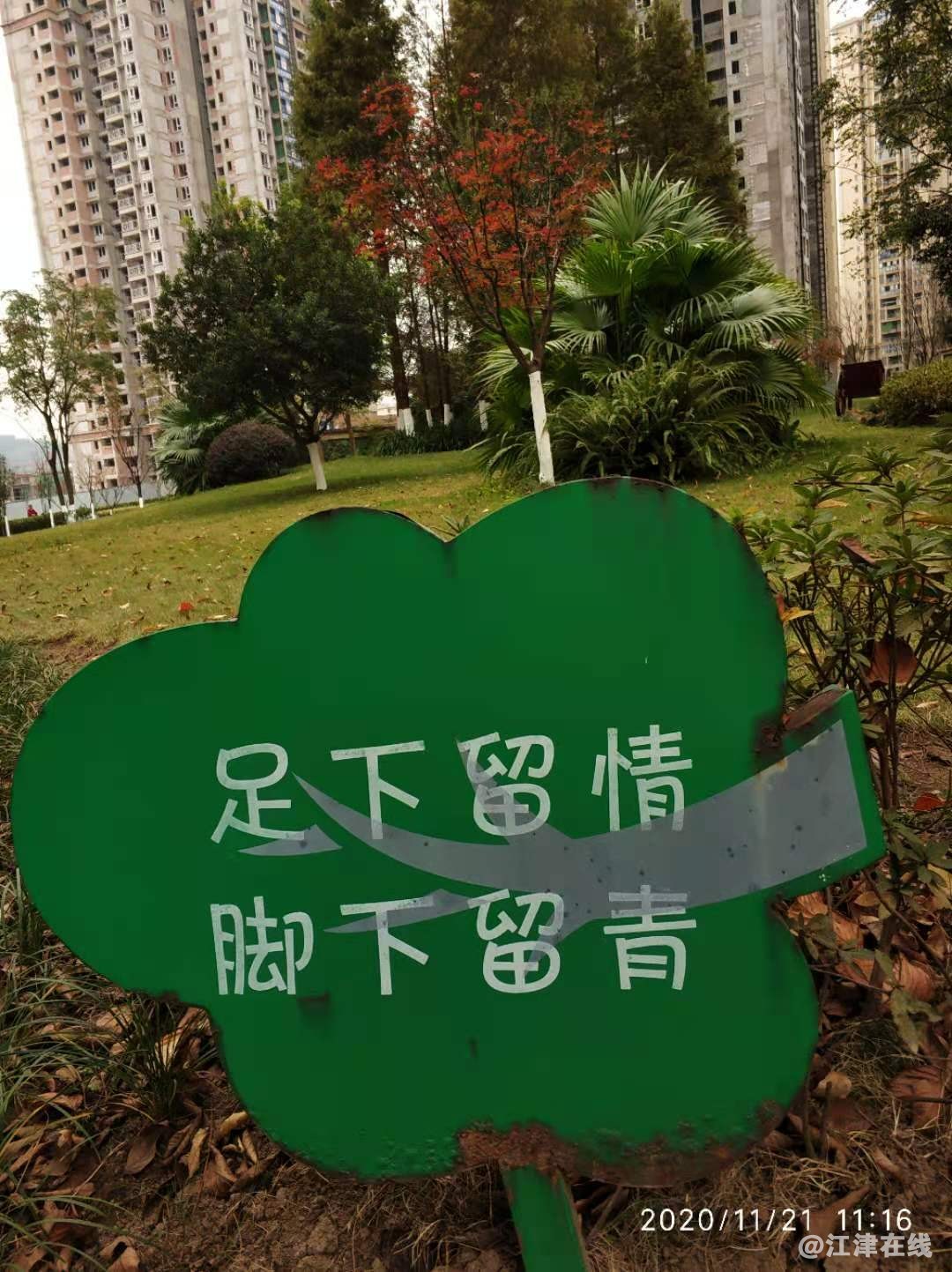 微信图片_20201122204650.jpg
