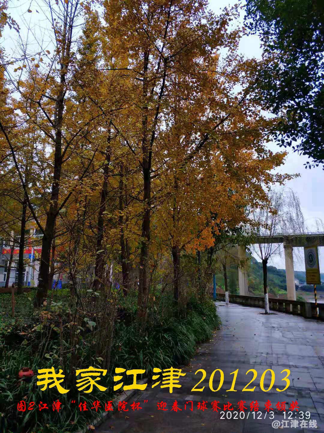 JYZ 20201203 WY2B (70).jpg