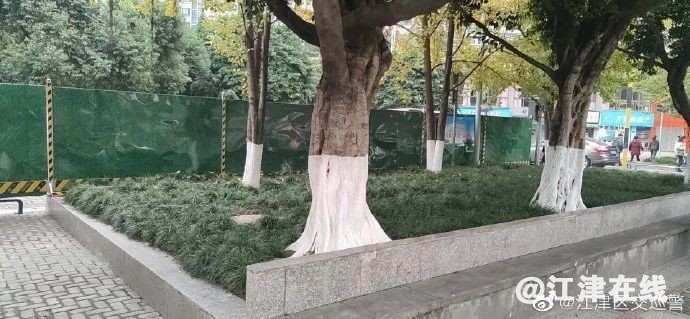 1b7a1ad9d4aae8c646e205c6db2ed74e.jpg