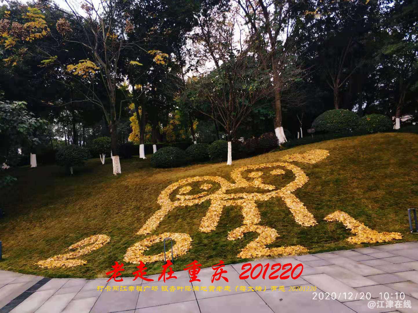 JYZ 20201220 WBQ (115).jpg