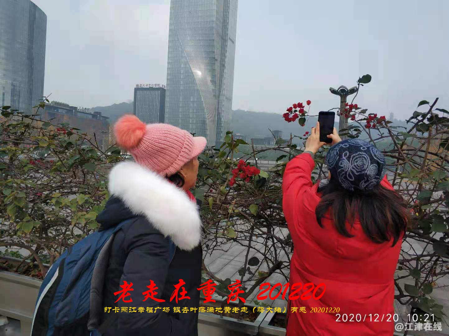 JYZ 20201220 WBQ (153).jpg