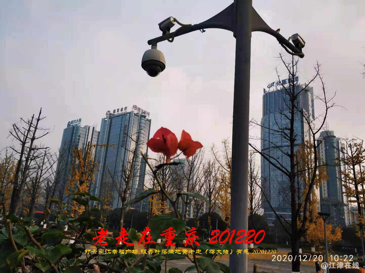 JYZ 20201220 WBQ (158).jpg