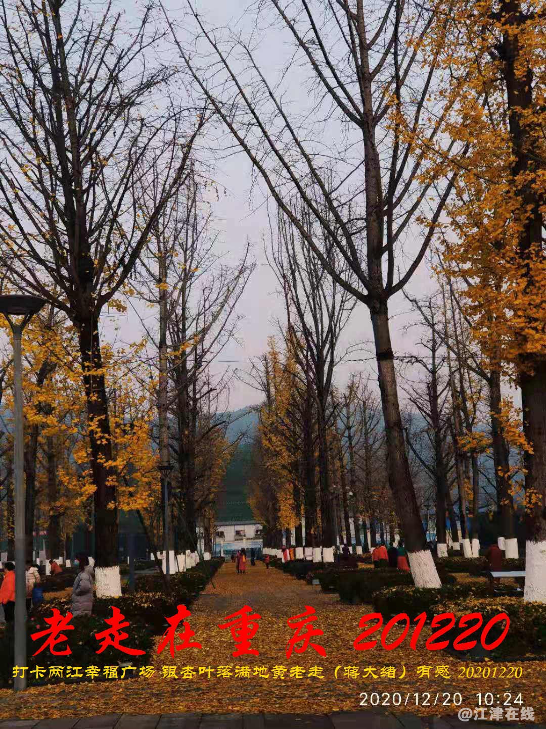 JYZ 20201220 WBQ (171).jpg