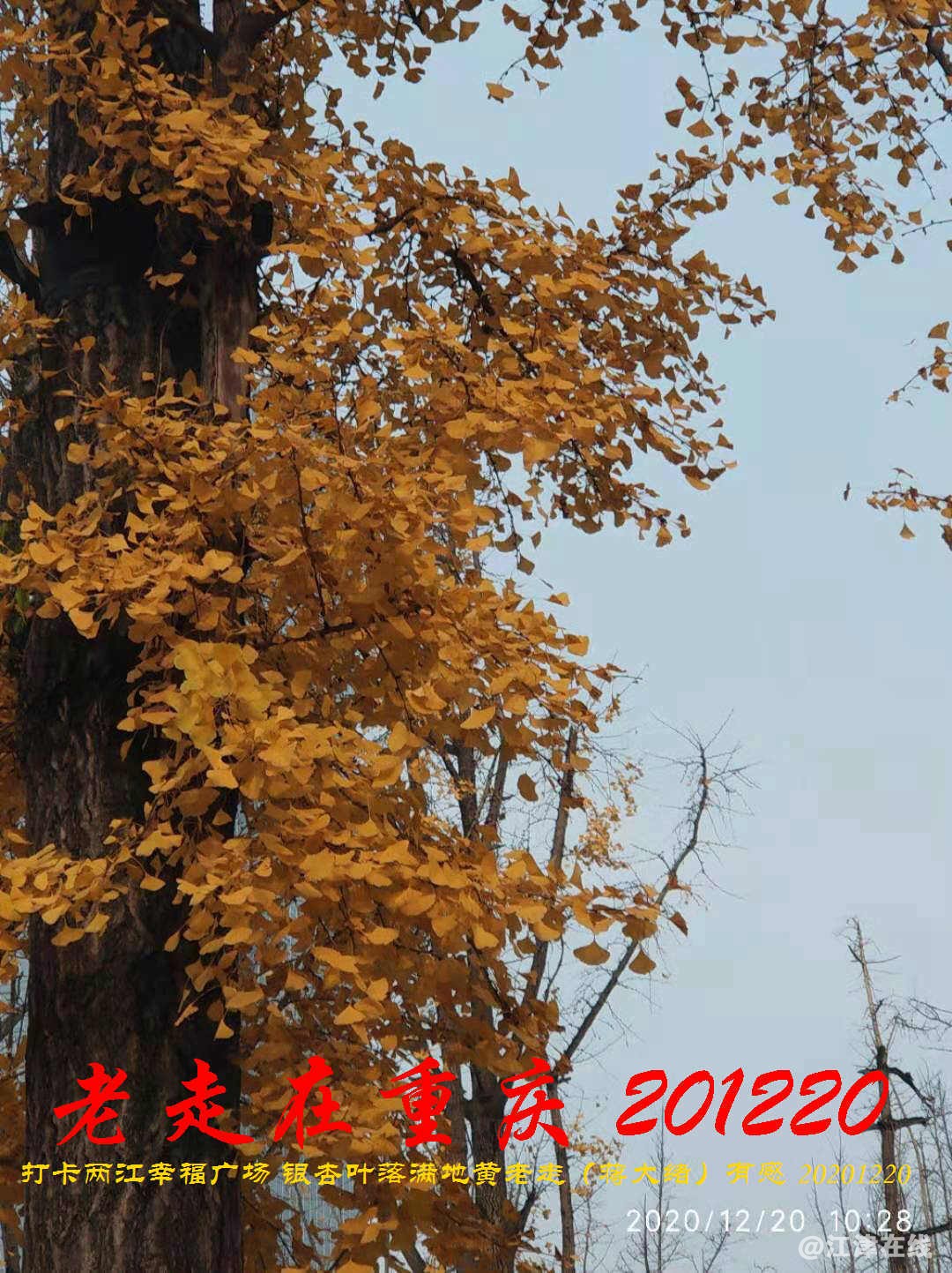 JYZ 20201220 WBQ (205).jpg