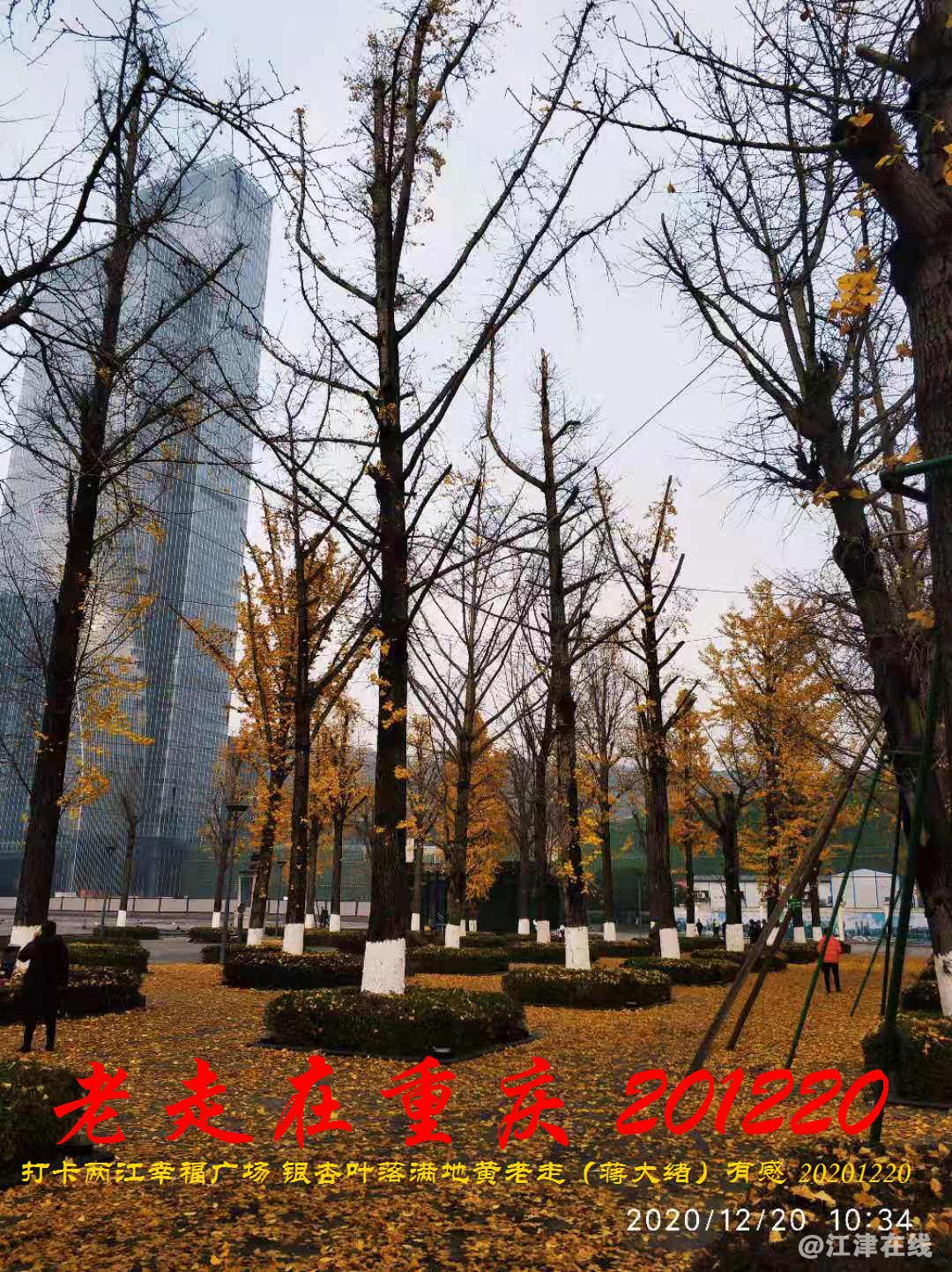JYZ 20201220 WBQ (234).jpg