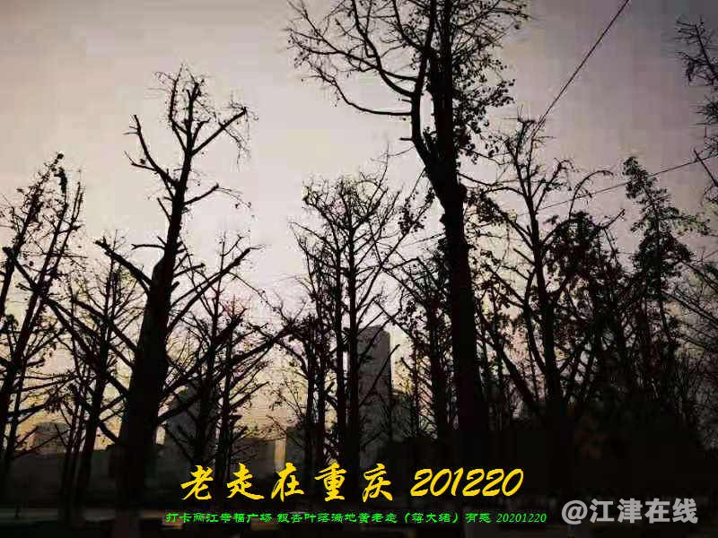 JYZ 20201220 WWBQ (25).jpg