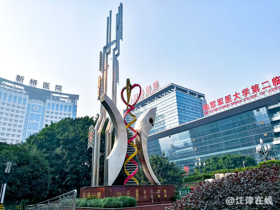 mmexport1608779151540副本副本副本.jpg