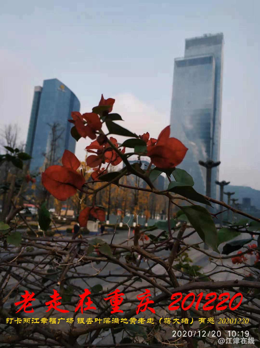 JYZ 20201220 WBQ (146).jpg