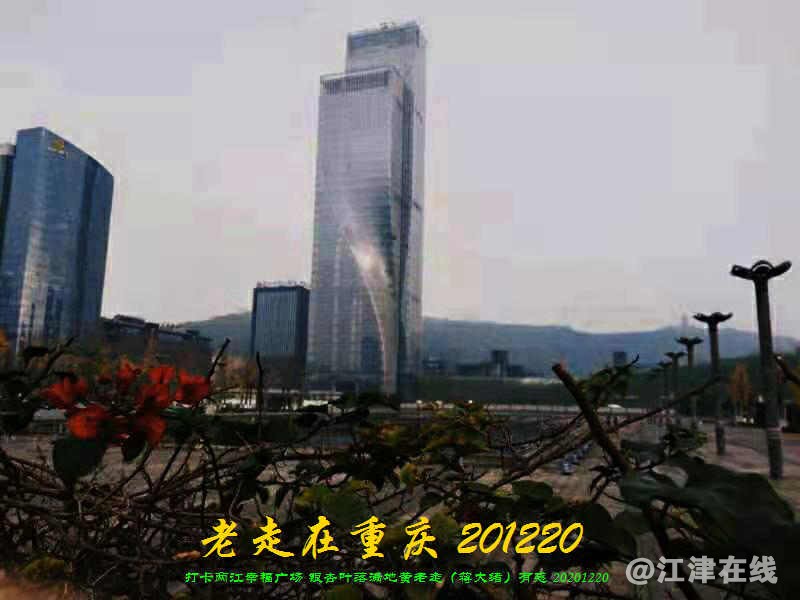JYZ 20201220 WWBQ (14).jpg