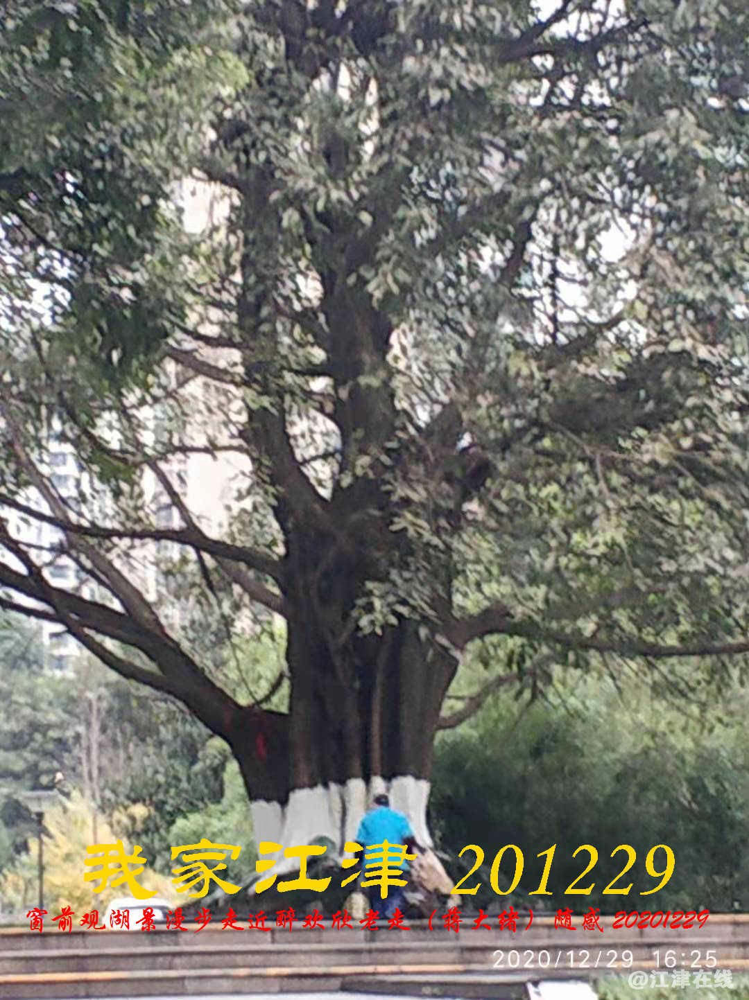 JYZ 20201229 YBQ (32).jpg