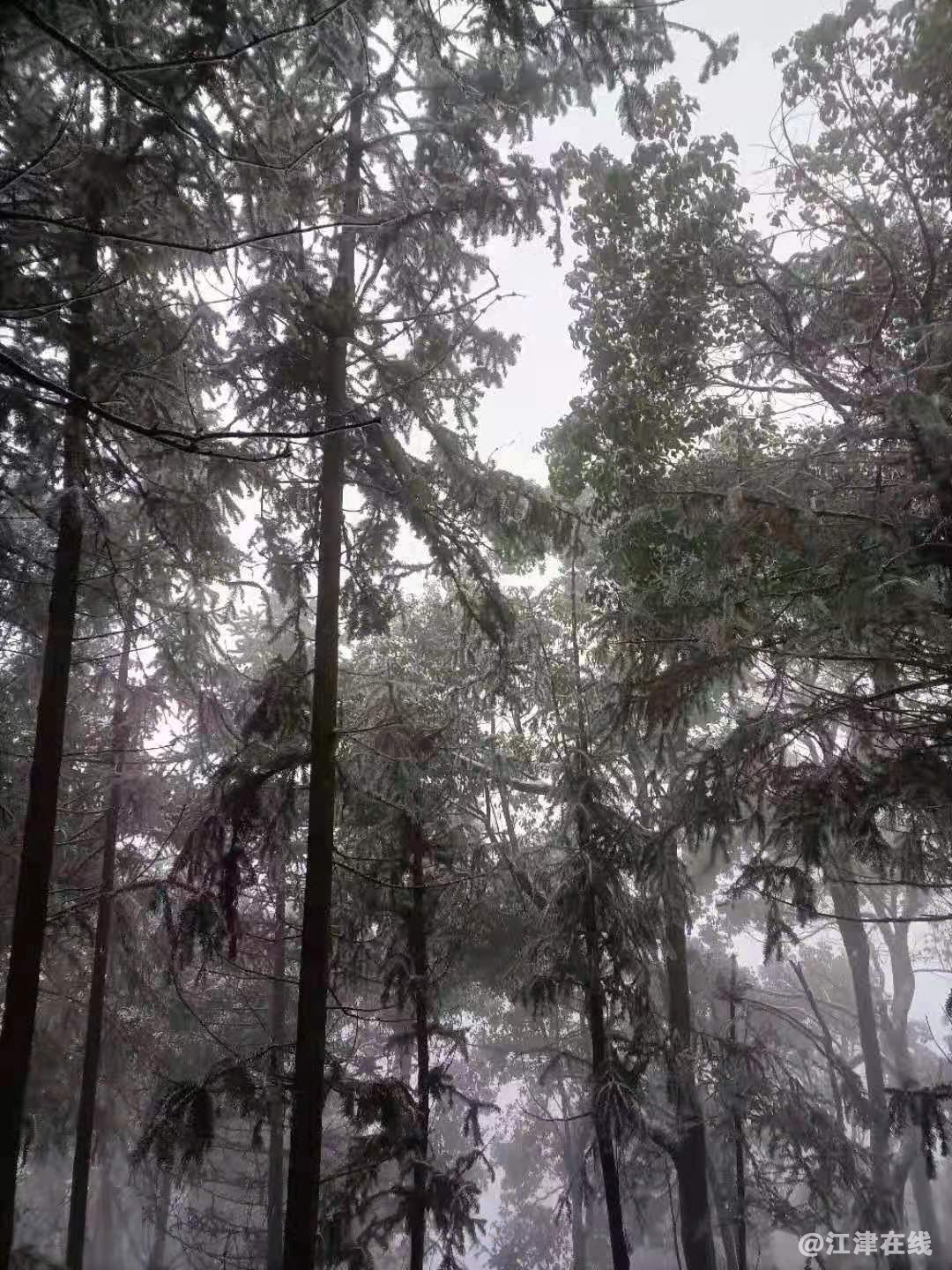 微信图片_20210108092858.jpg