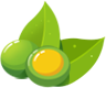 640?wx_fmt=png.jpg