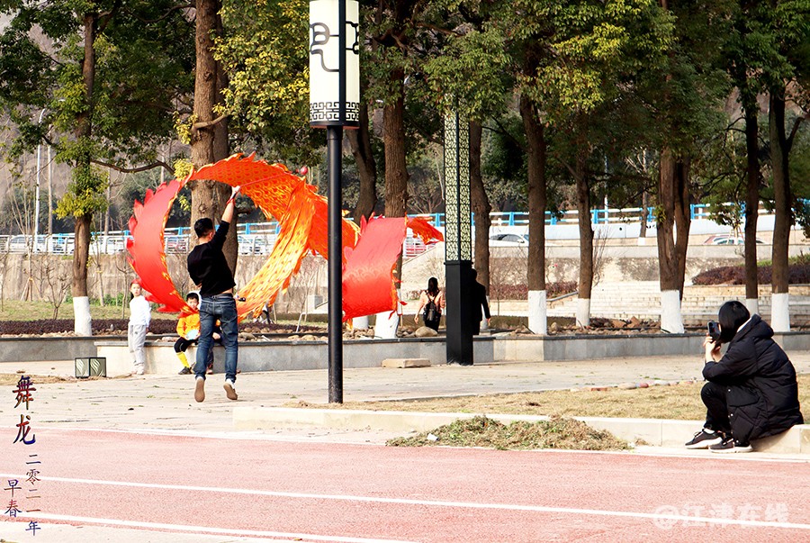 牛年春节 (1).jpg