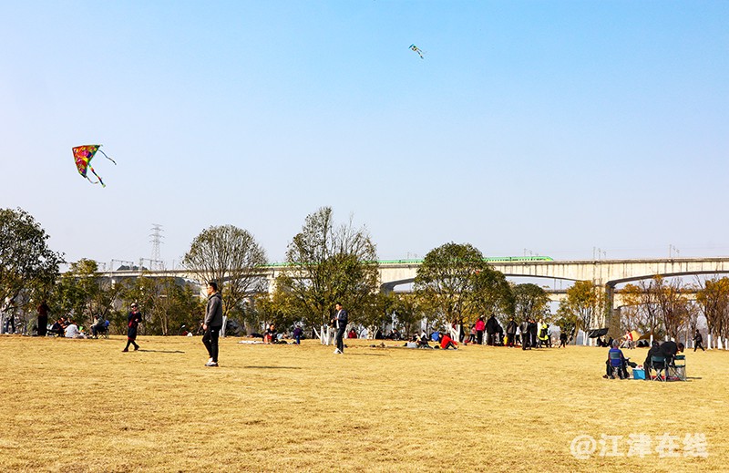 牛年春节 (6).jpg