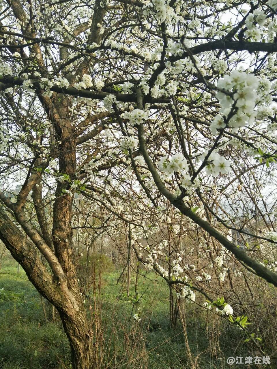 front2_0_FiqiA0-PQaHIEzGSxOeJFNHnsMpX.1614240911.jpg